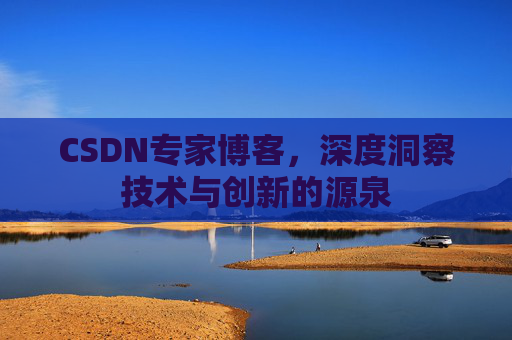 CSDN专家博客，深度洞察技术与创新的源泉